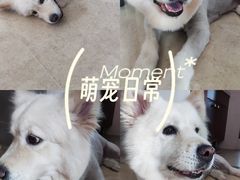 -海珠湖公园