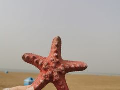 -秦皇岛秦皇国际大酒店
