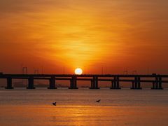 -宝安西湾红树林湿地公园