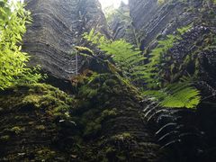 -梭布垭石林景区