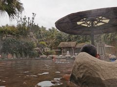 -雅安楠水阁温泉酒店