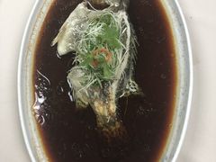 清蒸桂鱼-申粤轩酒楼·三十年粤菜经典(丁香花园店)