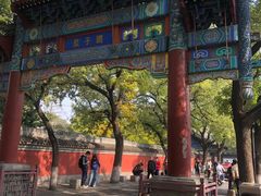 -北京国子监胡同