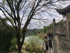 -重庆园博园