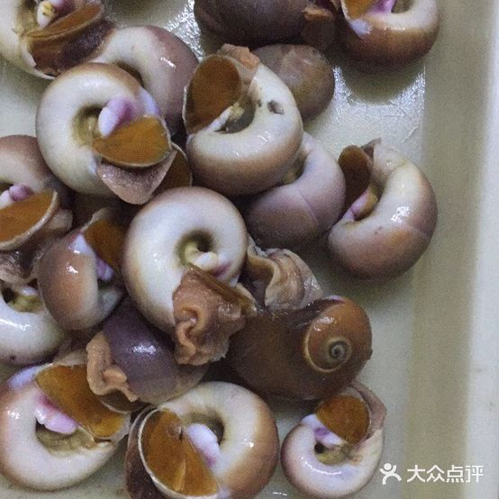 弶港船菜(南洋路店)