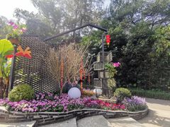 -广州市白云山风景名胜区