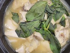 金不换焖鸡-金华安大酒楼·老牌潮菜·粤式茶点(东方国际店)