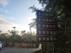 -熹乐谷温泉度假区