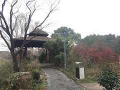 -新江湾城公园