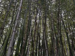 -江宁织造博物馆