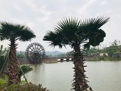 -枫香湖儿童公园