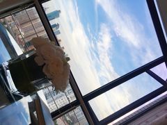 -惟初心理咨询工作室(静安分店)