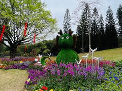 -广州市白云山风景名胜区