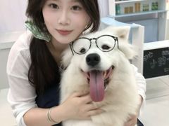 -汪说·狗咖·拼豆·宠物周边DIY(旺城大厦店)