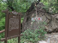 -阳台山自然风景区