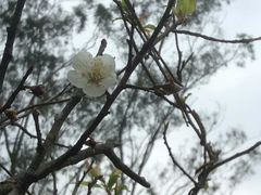 -象头山国家级自然保护区