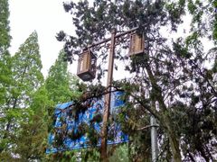 -南京航空航天大学(明故宫校区)