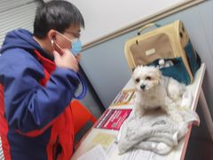 -伟伟宠物医院·CT影像中心·瑞派犬猫综合性门诊(汉口总院)