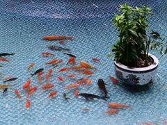 -黑龙江中医药大学附属第一医院