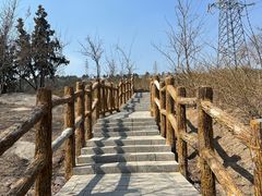 -白水寺森林公园