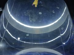 -飞行家太空体验馆(祥云小镇店)