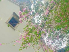 -深圳国际园林花卉博览园