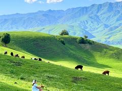 -新疆那拉提国家旅游度假区