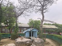 -有喜胶东小馆(太申祥和店)