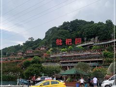 -枇杷园食为鲜火锅(南山店)