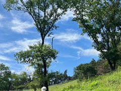 -萨尔浒风景区