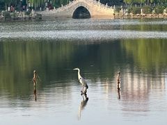 -文瀛公园