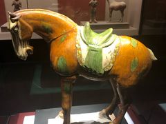 -宁夏博物馆