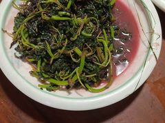 -小小饭店·休闲农庄·安吉松树林里的农家菜