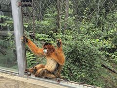 -哈尔滨北方森林动物园