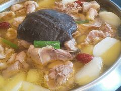 甲鱼炖土鸡-新吉阳酒店(檀溪路店)