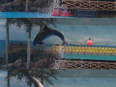 -海合安成都极地海洋公园