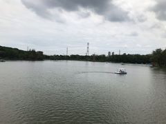 -昆山城市生态森林公园