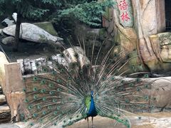 -哈尔滨北方森林动物园