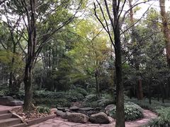 -峨眉山报国寺