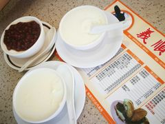 双皮奶-义顺牛奶公司(新马路老店)