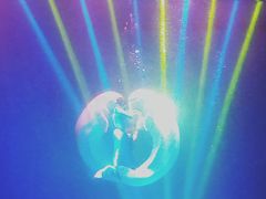 -芜湖新华联大白鲸海洋公园