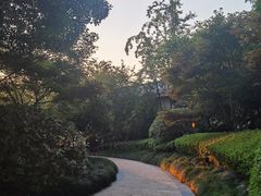 -绿城千岛湖喜来登度假酒店
