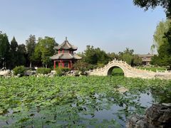 -莲池书院博物馆