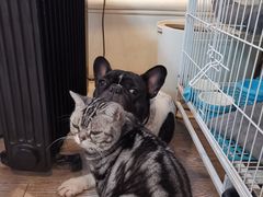 -小时光咖啡馆(北锣鼓巷店)
