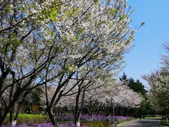 -白塘生态植物园
