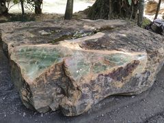-云南勐巴娜西珍奇园