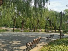 -团结湖公园
