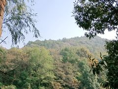 -白马涧龙池景区