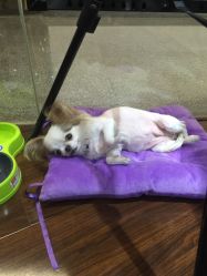 -染指坊日式美甲美睫设计中心