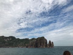 -长岛万鸟岛